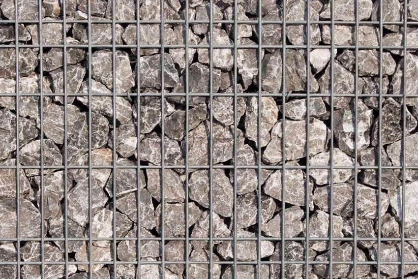 Scherf Gabion () Scherf Gabion